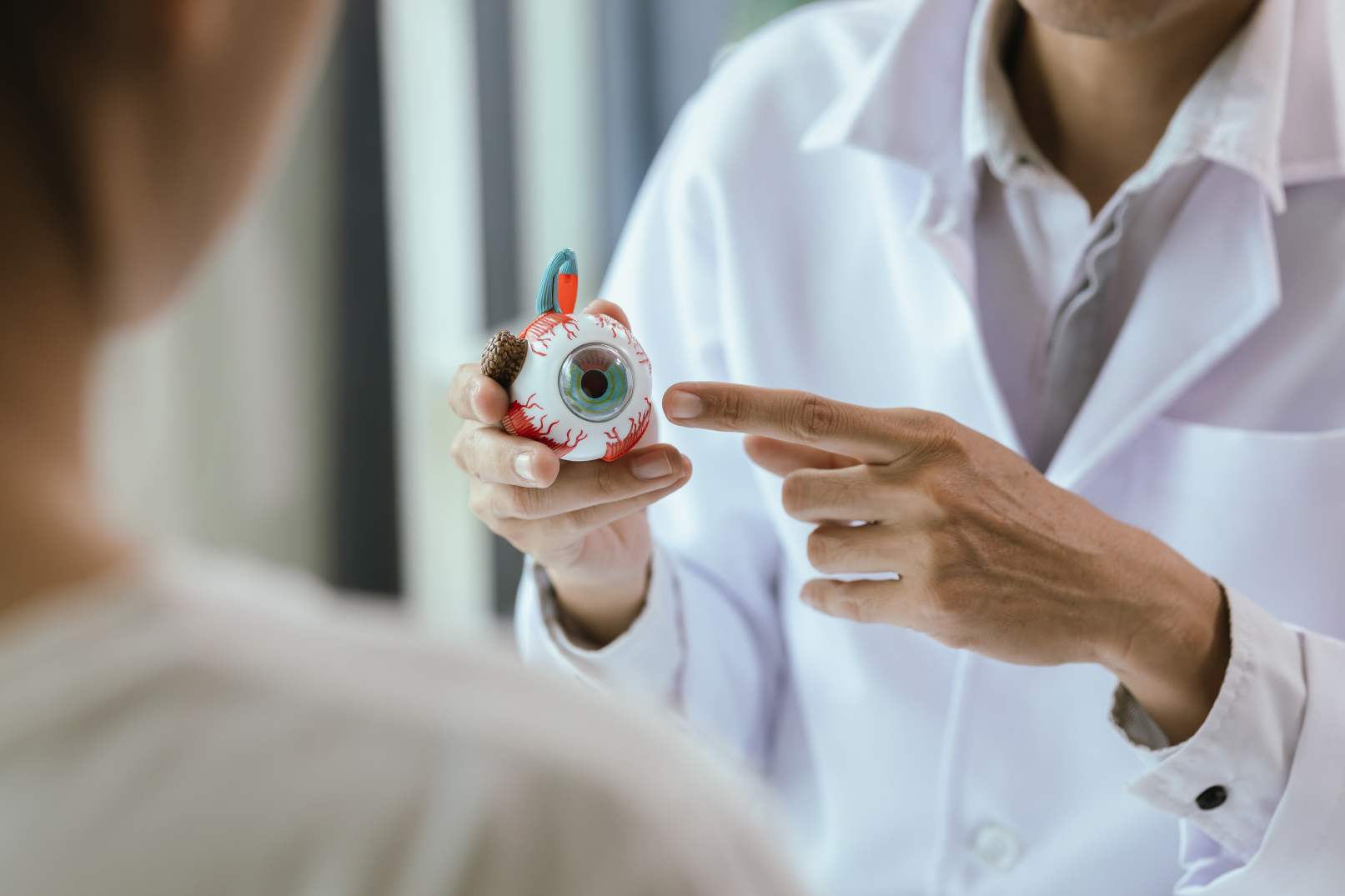 Ophthalmologist pointing to an eye model in front of a patient